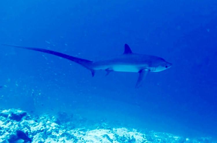Endhaa, Divers Home Fuvahmulah Ngoại thất bức ảnh
