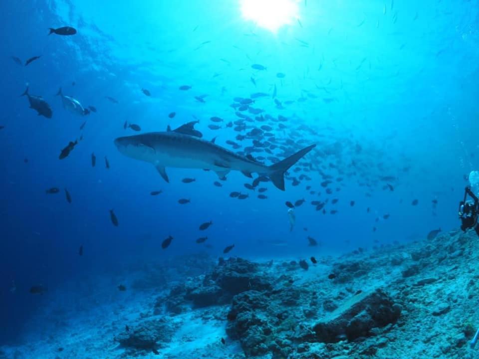 Endhaa, Divers Home Fuvahmulah Ngoại thất bức ảnh